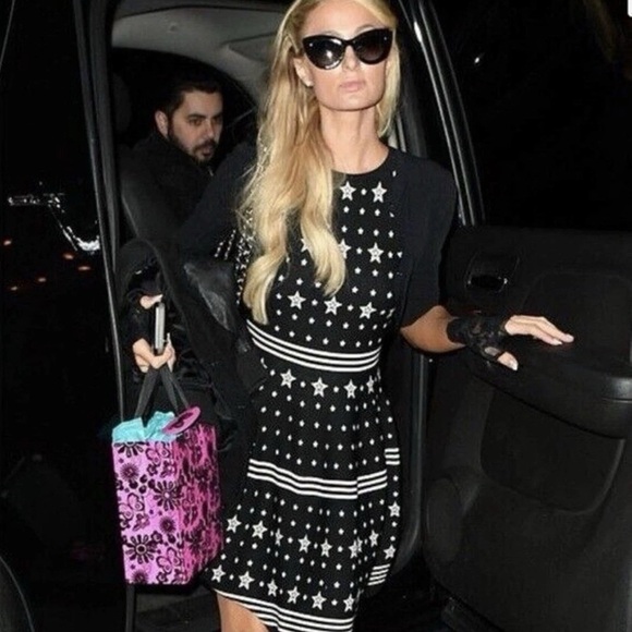 Ted Baker Dresses & Skirts - Ted Baker London Mariae Star Skater Dress Size 2 US 6 Jacquard Knit